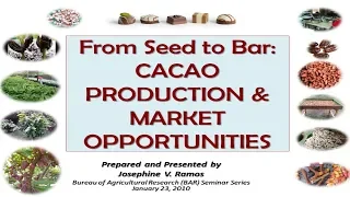 From seed to bar: Cacao production and market opportunities