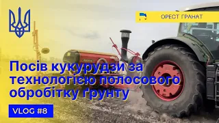 Посів кукурудзи за технологією полосового обробітку ґрунту