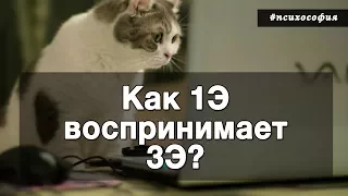 Что думает 1Э про 3Э. Архетип