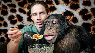 Chimp Dinner Live Spring Episode| Myrtle Beach Safari