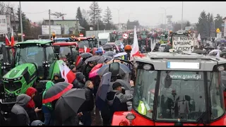 Усе стало! Блокують всю країну. У Польщі великий протест фермерів