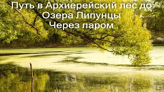 Влог выходного дня / Путь в Архиерейский лес до озера Липунцы через паром.