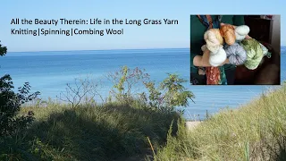 All the Beauty Therein: Life in the Long Grass Yarn|Knitting|Spinning|Combing Wool