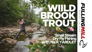 Dry Fly Fishing: Wild Brook Trout on a Small Mountain Stream