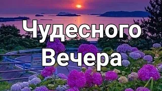 Добрый Вечер