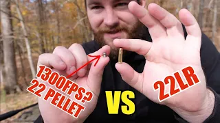 22LR VS 22 PELLET RIFLE! GAMO MAGNUM .22