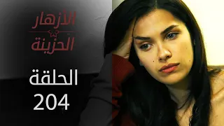 مسلسل الأزهار الحزينة | الحلقة 204 - الموسم الثاني