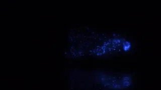 blue smoke effect intro