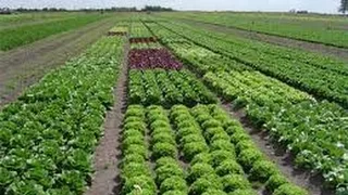 Genralidades sobre Buenas Prácticas Agrícolas - Agricultura Ecológica- TvAgro por Juan Gonzalo Angel