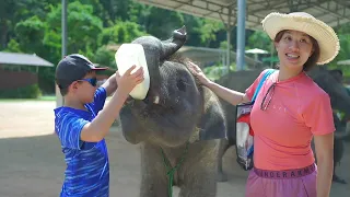 Elephant Day Spa