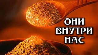 Они внутри нас! Паразиты - захват реальности. Игорь Качура