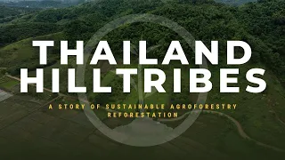 Sustainable Agroforestry Reforestation and the Story of the Thailand Hill Tribes | One Tree Planted