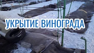 Чем и как ,укрываю ВИНОГРАД на зиму.