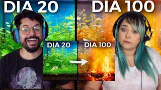 Há 100 Dias Construí um Ecossistema, e Então Isso Aconteceu (Dr. Plants Brasil) ‹ REACT ›