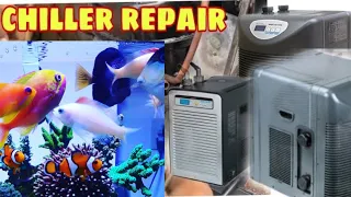 Aquarium chiller repair in Hindi#hailea 500A #chiller #marine #reef