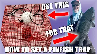 How to set a Pinfish Trap -So easy even I can do it!!!!