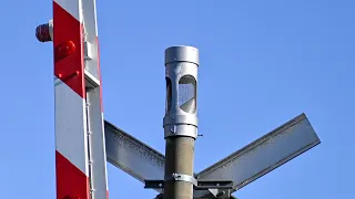 Dying General Signals Type 2 E-Bell