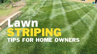 Lawn Stripes- How to stripe your grass like a pro!!!