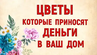 Срочно поставьте Эти цветы у себя дома ! Цветы которые приносят деньги в дом .