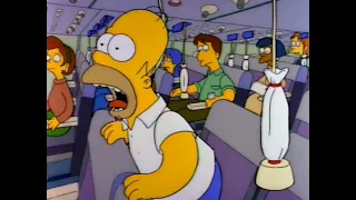 The Simpsons - Homer: "We're all gonna Die!"