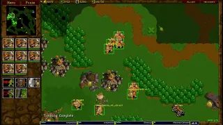 Warcraft 2 Garden of War 1v1 u8t3io3p vs [TD]Viruz