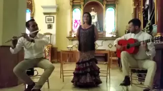 Concierto de Aranjuez, Adagio. Flamenco Pura Sangre