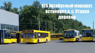 Прибытие и отправление автобуса 125 маршрута. Остановка: а.с. Старая деревня.