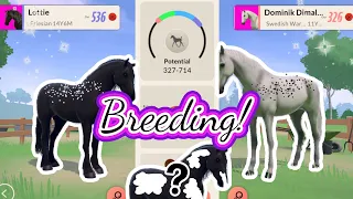 ETG BREEDING IS FINALLY HERE! |Equestrian the Game