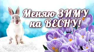 🌸С первым днем весны! 🌸Открытка 🌸поздравление🌸 позитив