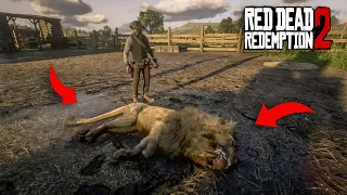It Took Me 3 Years To Realize I Could Do This In RDR2 - Part N2 -😳