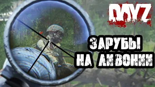 DAYZ | ЗАРУБЫ НА ЛИВОНИИ!