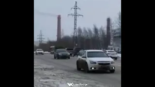 медведь в Кемерово