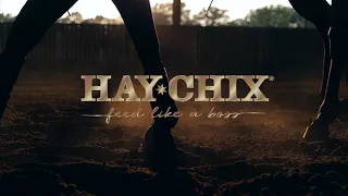 Hay Chix Pink Buckle Commercial 2023