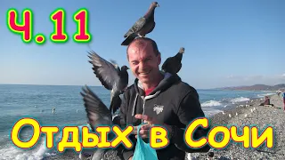 Сочи 2020г. Вдвоем на отдыхе! Ч.11 На море. SPA. Ручные голуби и чайки. (12.20г.) Семья Бровченко.