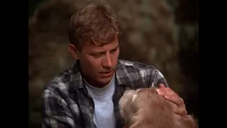 "Shadow's a Hero" | Homeward Bound Scene with just the music | Bruce Broughton