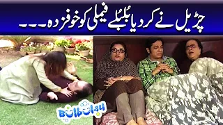 Churail Ne Kardiya Bulbulay Family Ko Khaufzada - Momo | Bulbulay