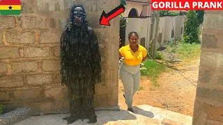 😂😂😂SHE FROZE! Giant Gorilla Prank | Angry Dog Prank.