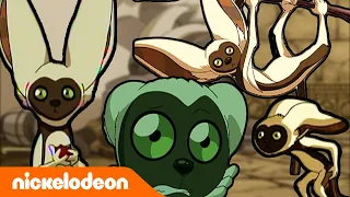 Avatar – Der Herr der Elemente | Momo der Lemur  | Nickelodeon Deutschland