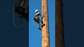 Z climbing 110 foot pole at Lazy Q training center
