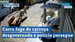 Carro foge de um cavalo em carroça desgovernada e polícia persegue animal, em Inhumas