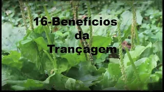 16 benefícios da trançagem-incrível