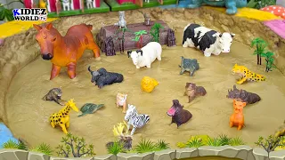 Muddy Adventures with Jungle and Farm Animals! 🦓🐘🐄 Educational Learning for Kids