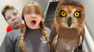 OWL WITCH in OUR HOUSE! The LEGEND of the OWL WITCH!