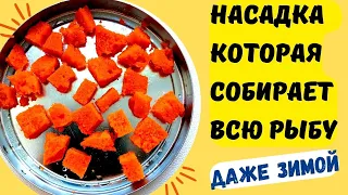 Несбиваемая насадка для рыбалки, которая собирает много рыбы даже зимой. @Roma_Luk