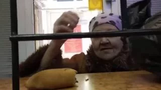 Топ 5 сумасшедших бабушек. Top 5 crazy grandmothers.