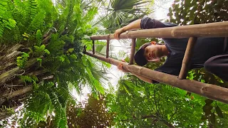 Full video: 45 Days Orphan Boy Building a Dream House - Harvesting Fruit, Gardening and Cooking