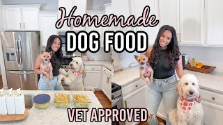 VET APPROVED HOMEMADE + HEALTHY DOG FOOD RECIPE | COOKING FOR YOUR DOG | PART 5