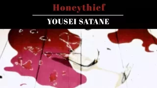 【Yousei】 Honeythief - Halou