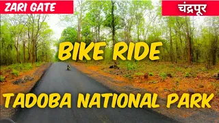 Tadoba Andhari Tiger Reserve | Buffer zone | Zari Gate | Episode 3 | Marathi vlog |