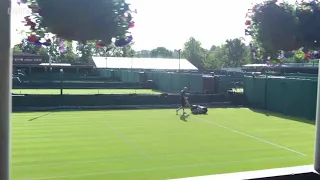 Wimbledon 2021 closing montage